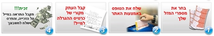 תהליך קניית כרטיס לוטו עולמי